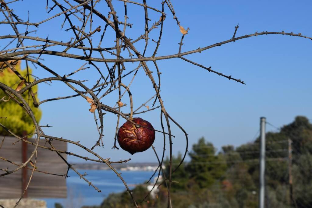 Ολόκληρος Όροφος Αγροτική Οικία Apartment Neos Pirgos Exterior photo