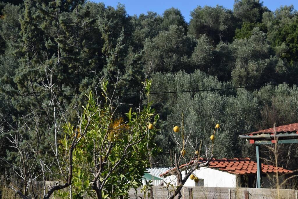 Ολόκληρος Όροφος Αγροτική Οικία Apartment Neos Pirgos Exterior photo