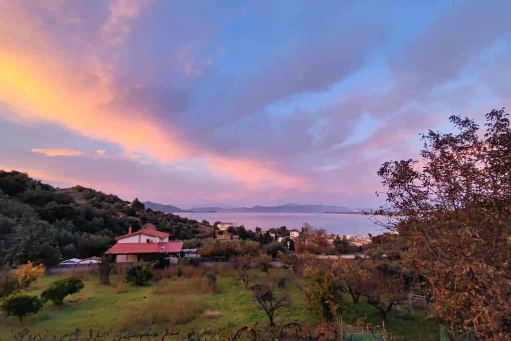 Ολόκληρος Όροφος Αγροτική Οικία Apartment Neos Pirgos Exterior photo